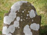 image of grave number 795880